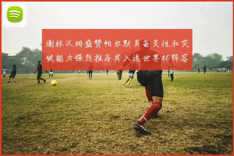 谢林汉姆盛赞帕尔默具备灵性和突破能力强烈推荐其入选世界杯阵容