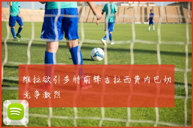 维拉欲引多特前锋吉拉西费内巴切竞争激烈